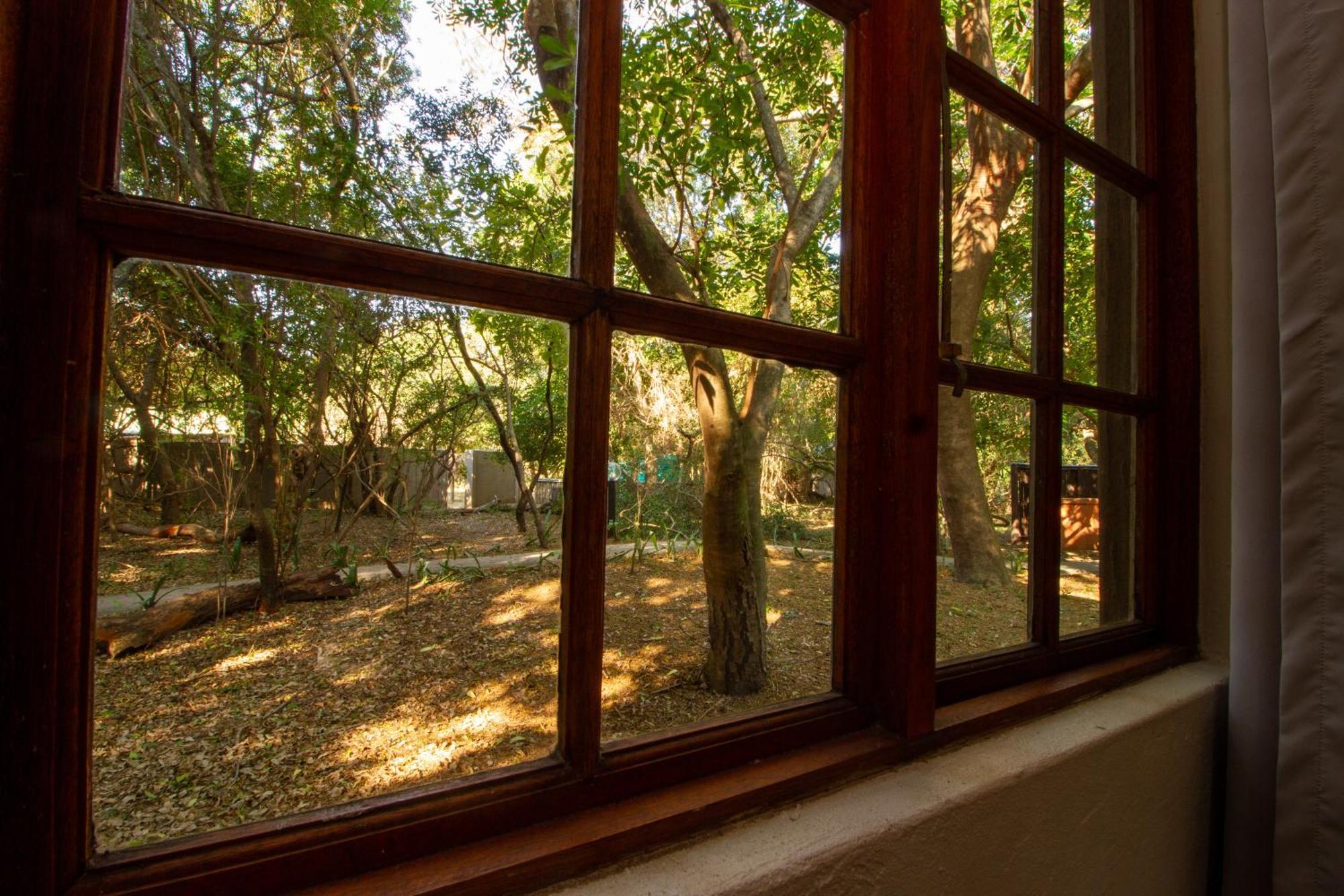Emdoneni Lodge With Zululand Cat Conservation Project هلوهلوي المظهر الخارجي الصورة