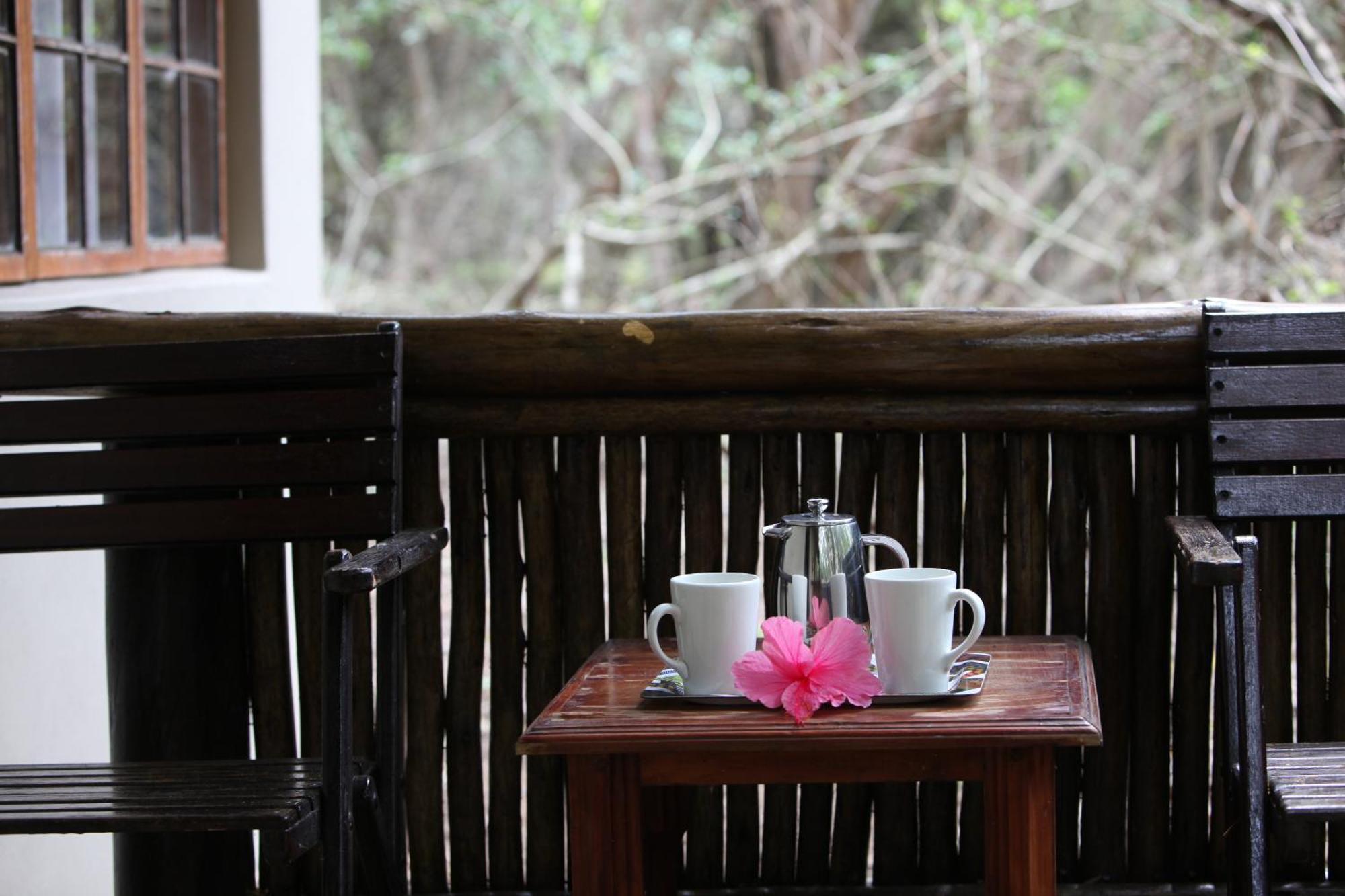 Emdoneni Lodge With Zululand Cat Conservation Project هلوهلوي المظهر الخارجي الصورة