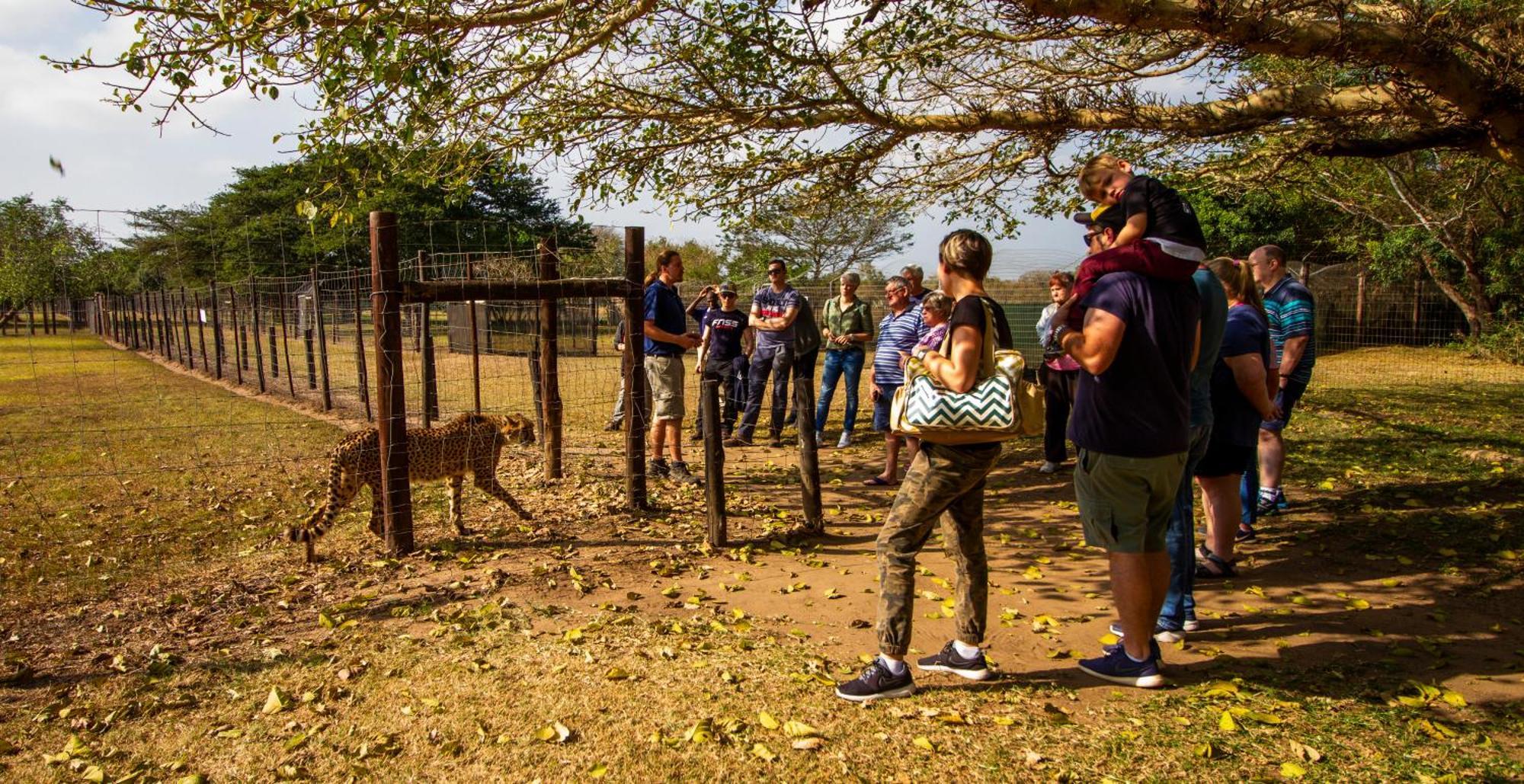 Emdoneni Lodge With Zululand Cat Conservation Project هلوهلوي المظهر الخارجي الصورة