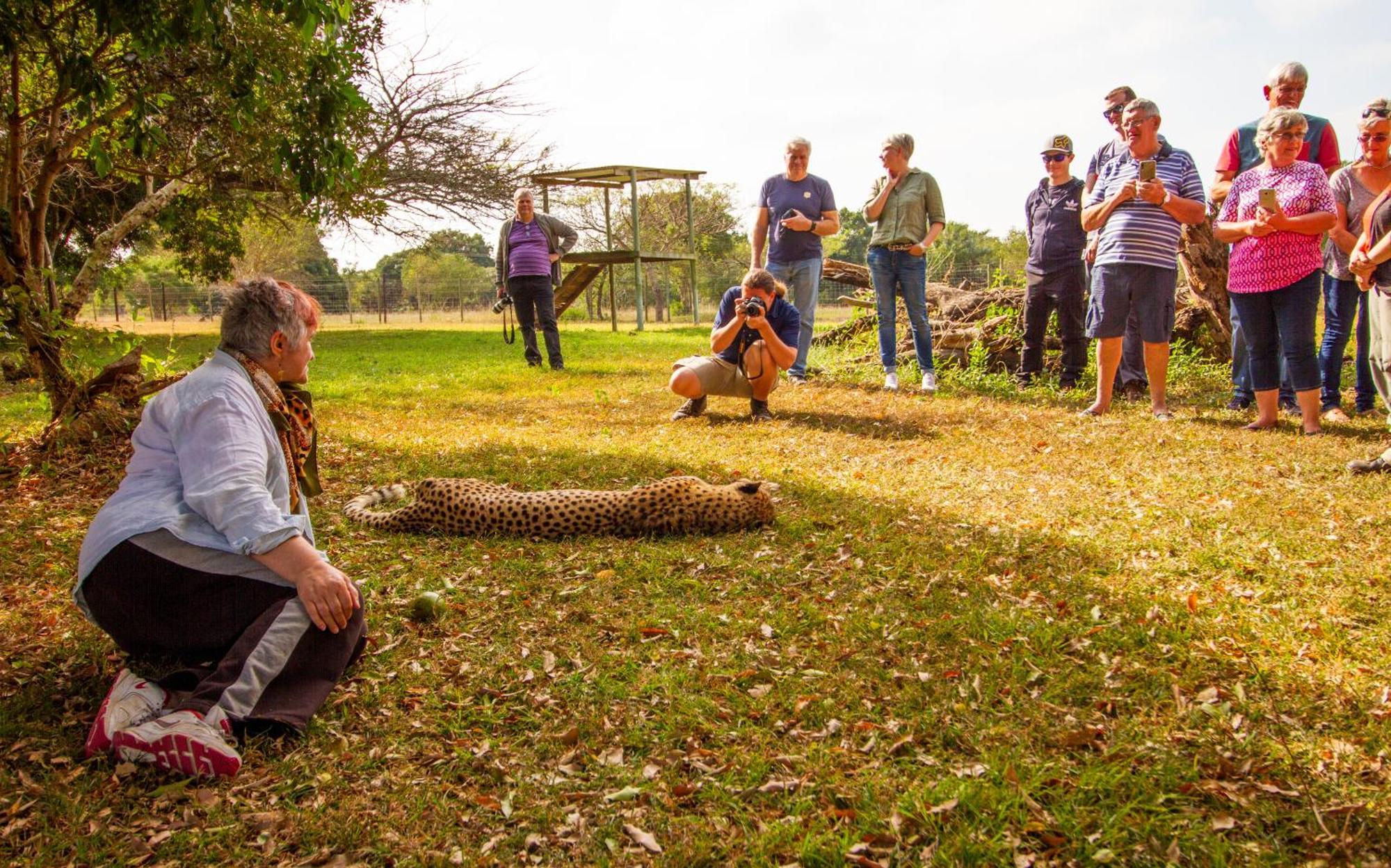 Emdoneni Lodge With Zululand Cat Conservation Project هلوهلوي المظهر الخارجي الصورة